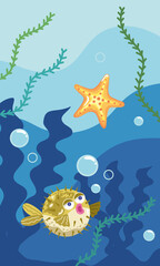 poisson-globe avec étoile de mer