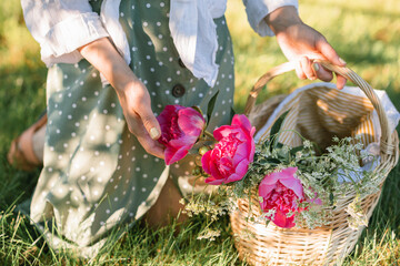 Woman with basket of flowers. Summertime. Fresh pink peony flowers. Outdoors.