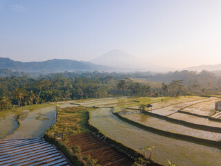 Fototapeta na wymiar Aerial photo of Beautiful terraced rice fields in the Kajoran Village with Mountain on the background in the morning