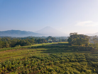 Aerial photo of Mosque with golden dome in the middle of rice field and mountain on the background. Kajoran rice field, Central Java, Indonesia