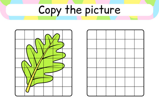 Copy the picture and color leaf oak. Complete the picture. Finish the image. Coloring book. Educational drawing exercise game for children