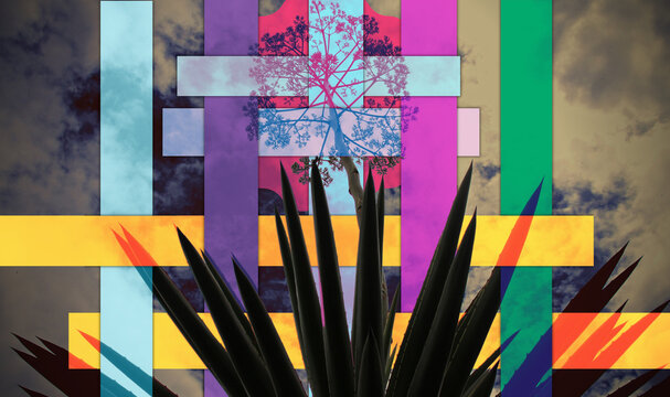 AgaveX series 2A