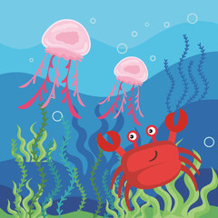 crab with jellyfish sealife
