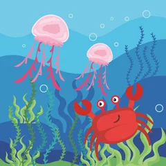 Crédence de cuisine en verre imprimé Vie marine crab with jellyfish sealife