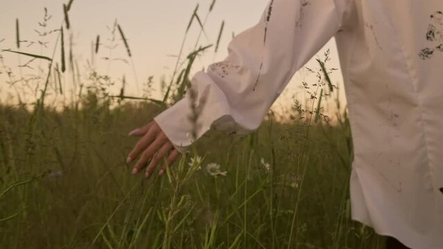 Woman walking and enjoying nature. Hand of young woman touching wild grass. Freedom concept. Close-up in 4K, UHD