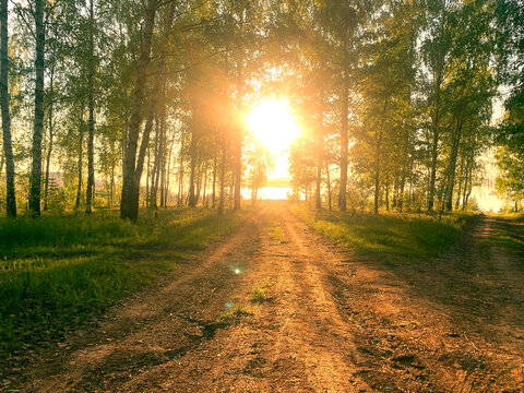 Landscape Shot With The Gold Sun Rays