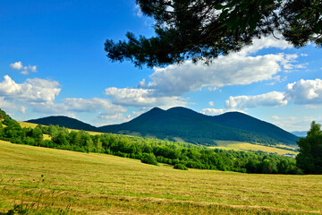 Beautiful summer evening landscape in the mountains with green meadows and forested hills. View of Mountain Busov (1002 msl) in
 Low Beskids. (Beskid Niski).