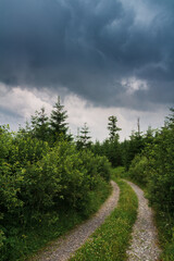 Road in forest under dramatic storm sky. Czech nature, sumava reserve, area knizeci stolec