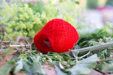 A small ball of bright red yarn lies nestled amidst a bed of lush green foliage