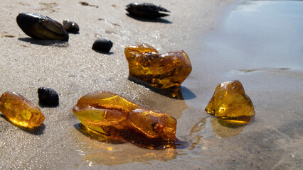 Shiny old orange Baltic amber stones on a wet sand.  Beautiful different amber  in the water.