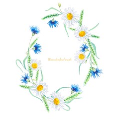 Floral watercolor wreath of meadow flowers, cornflowers, daisies, spikelets of wheat