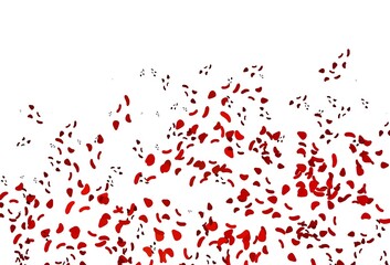 Light Red vector background with abstract forms.