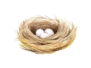 Watercolor nest with eggs, cute forest illustration. Woodland hand-painted nature print for kids design, postcards, poster, sublimation, icon