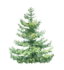 Watercolor forest fir tree illustration. Evergreen graphic isolated on white background. Woodland hand-painted nature print for kids design, postcards, poster, sublimation, icon