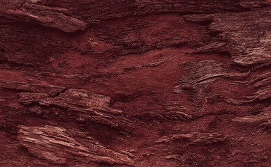Background, walnut bark, wood texture, Horizontal, close-up, Rustic,