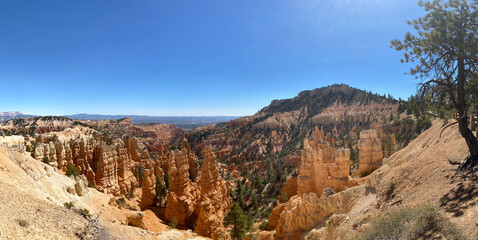 Obraz premium Bryce National Park