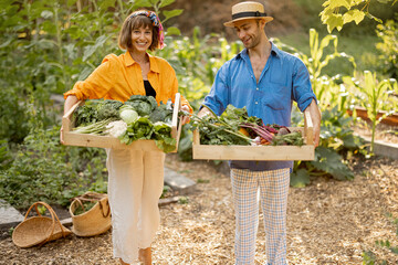 Portrait of two cheerful farmers stand together with boxes full of freshly picked vegetables at local farmland. Concept of organic food and sustanable lifestyle