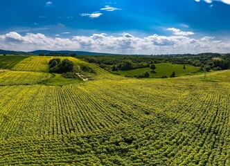 Drone photo of plain with plantation Hungary panorama.