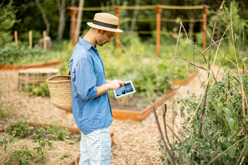 Man using digital tablet while working as farmer at vegetable garden. Concept of modern agricultural technologies and local growing of organic vegetables
