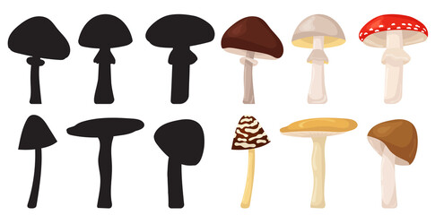 mushrooms set silhouette, isolated, vector