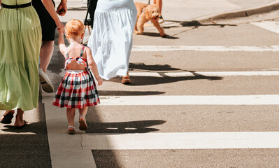 group of people crossing crosswalk, girl, dog miami 