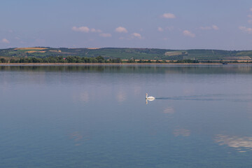 Beautiful landscape. View of Palava - Moravia - Czech Republic. Lake Musov and vineyards at sunset.