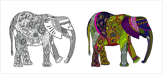 Zentangle hand drawn elephant for coloring. Exotic animal in graphic lines with ethnic ornaments. Vector illustration isolated on white background. 