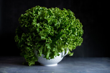 green salad  lettuce