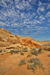 Fototapeta premium Environmental landscape of Mohave Desert at Valley of Fire State Park in Nevada, United States
