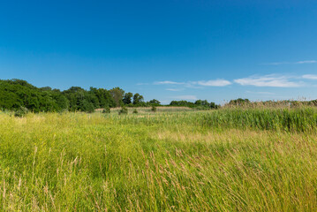 Landscape at Buffalo Rock State Park.