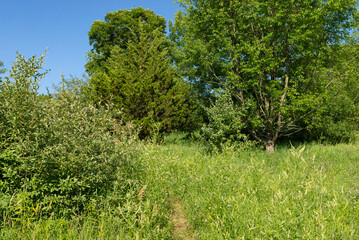 Landscape at Buffalo Rock State Park.