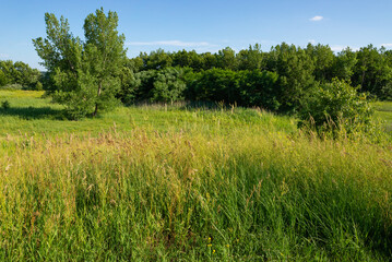Fototapeta na wymiar Landscape at Buffalo Rock State Park.