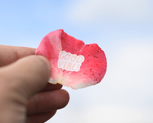 Rose petal held in hand. 