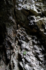 Fototapeta na wymiar Creepy dark rough rock surface. Wet prehistoric grotto. Stone natural cave wall.