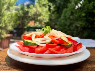 healthy vegetable salad (sliced tomatoes, cucumber, onion) on the plate