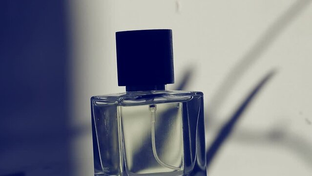 perfume bottle on blue. Perfume bottle. 