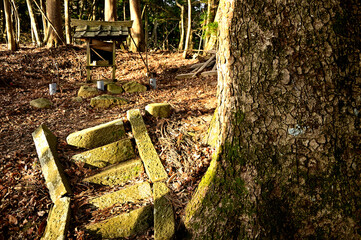 丹沢の大山三峰山　大山三峰縦走コース　山の神の祠
