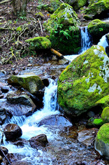 丹沢の三峰山　谷太郎川の白滝沢
