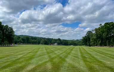 Newly Mown Lawn with Stripes