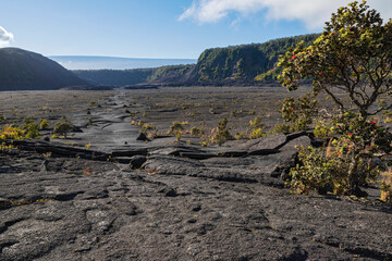 atop dry lava bed of kilauea iki crater at hawaii volcanoes national park