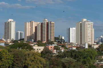 Fototapeta na wymiar Urban landscape shows the neighborhood with single storey houses, buildings, treetops and blue sky, Piracicaba SP Brazil.