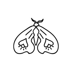 Hand drawn butterfly. Vector illustration in doodle style. Isolate on a white background.