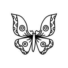 Hand drawn butterfly. Vector illustration in doodle style. Isolate on a white background.