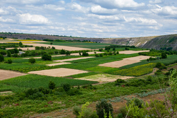Fields in Moldova