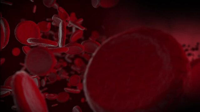 Sick Red Blood Cells Flowing Inside Human Vein. Health Problem. Perfect Loop.