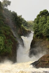 waterfall in the forest  in uganda