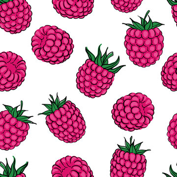 Seamless pattern with pink raspberry berry. Hand drawn raspberries pattern on white background. for fabric, drawing labels, print, wallpaper of children's room, fruit background
