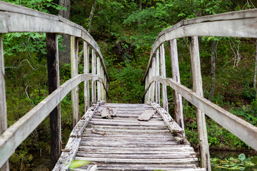 A wooden bridge in a forest setting