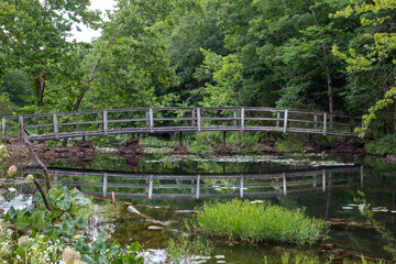 Fototapeta na wymiar A wooden bridge in a forest setting