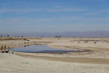 Anza-Borrego State park, CA